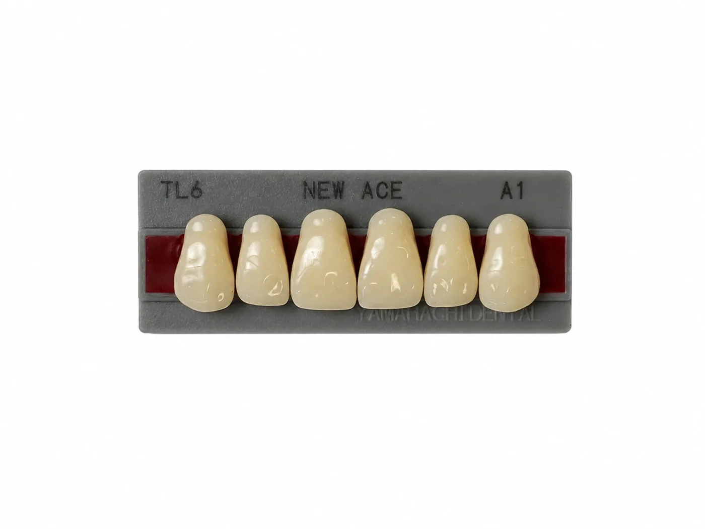 Dente Yamahachi NEW ACE — Anterior Superior TL6