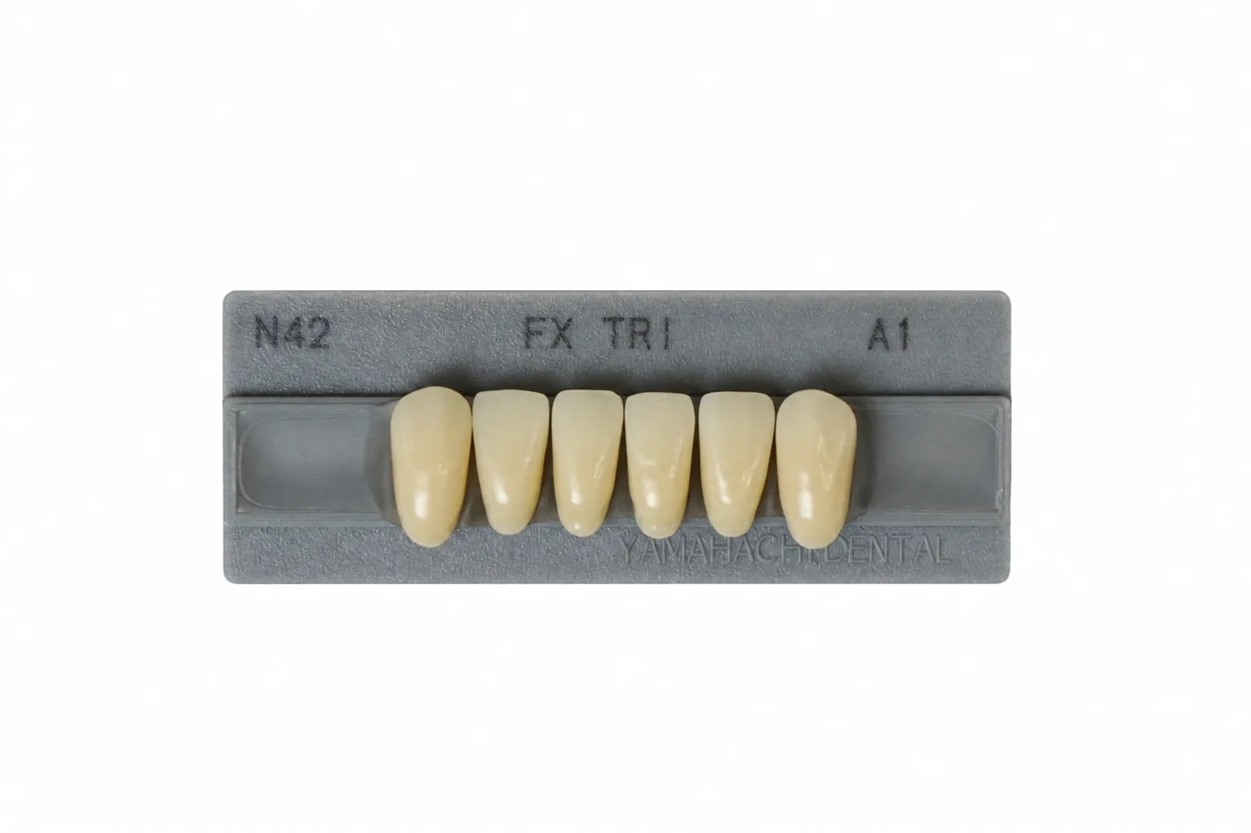 Dente Yamahachi FX TRI — Anterior Inferior N42