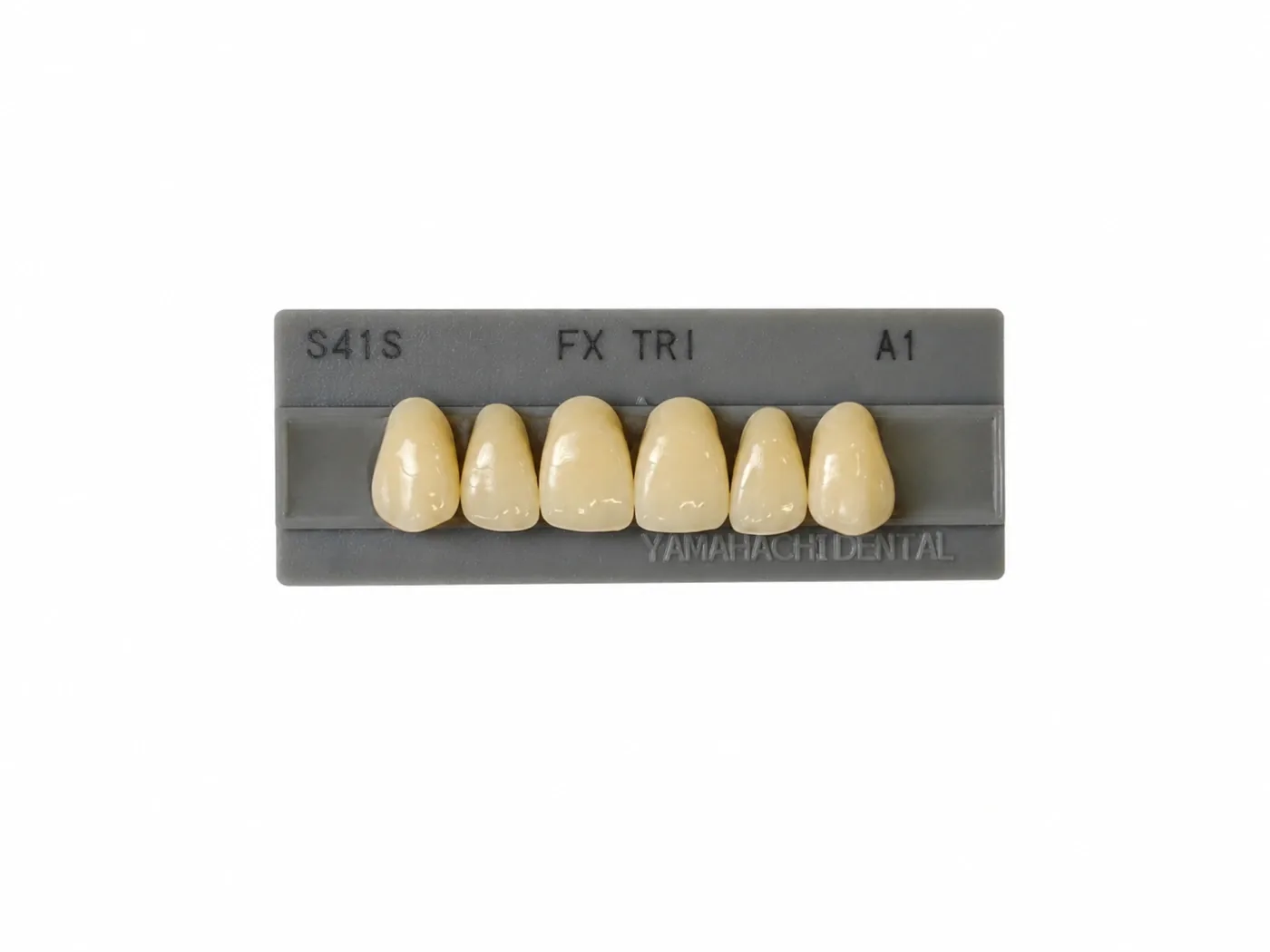 Dente Yamahachi FX TRI — Anterior Superior S41S